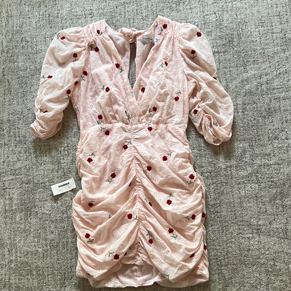 Seven Wonders light pink dress with red roses